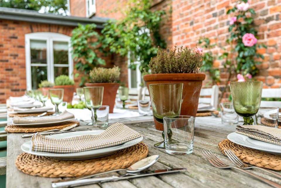 Lemon Thyme in terracotta pots on outdoor table - ready for lunch party