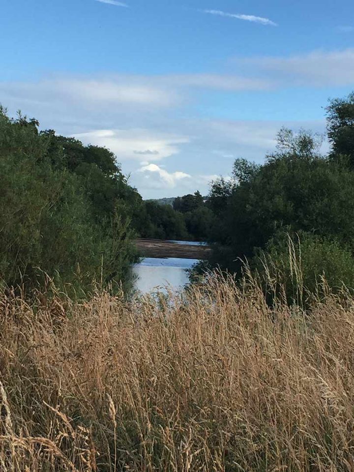 View of the Wye should you do the circular walk from the house.