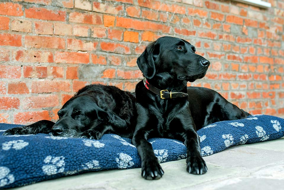 The Cider Mill is a spacious, dog-friendly family holiday cottage with three bedrooms, all ensuites. It has an enclosed garden and ample private parking | Monnington House and Cottages, Herefordshire