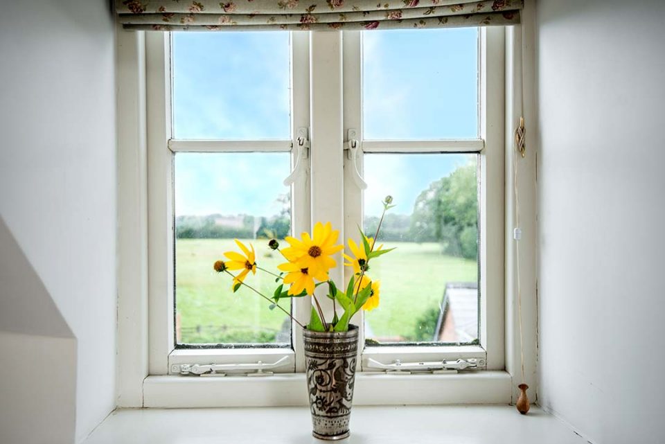 View from landing window over the farm and a vase Dahlia Bishop of York (grown in the garden)