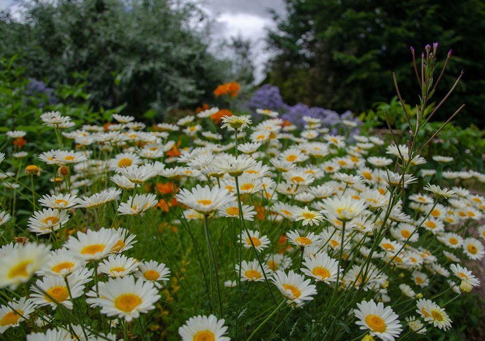 Cider Mill, Monnington, Herefordshire