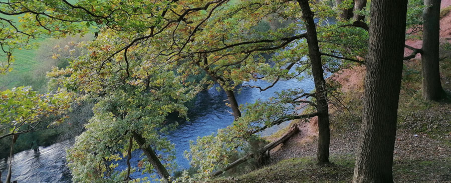 The Scar, River Wye Cropped