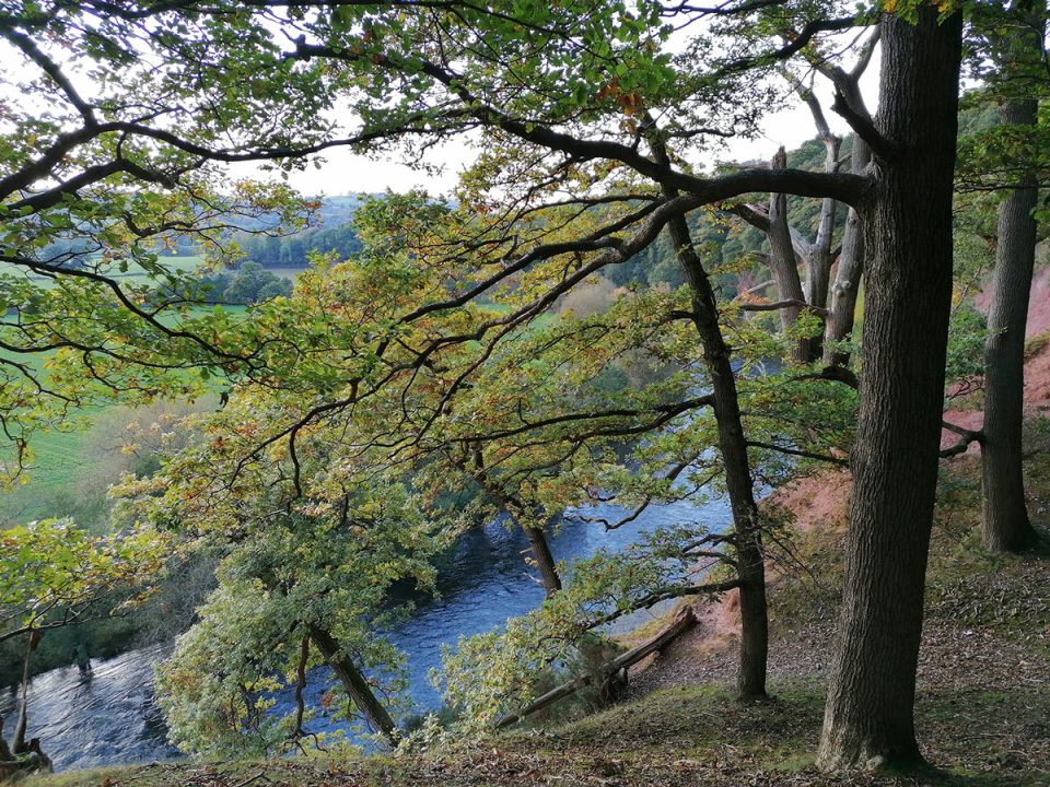 The Scar, River Wye