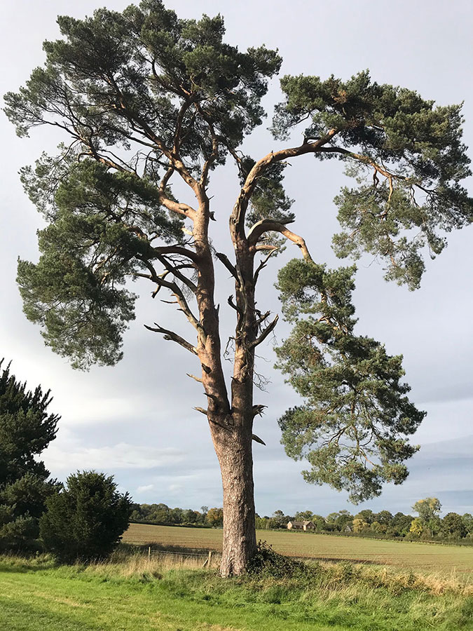 Walking holidays in Herefordshire | Monnington House and Cottages