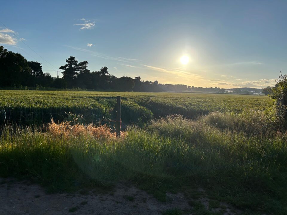 Walking holidays in Herefordshire | Monnington House and Cottages
