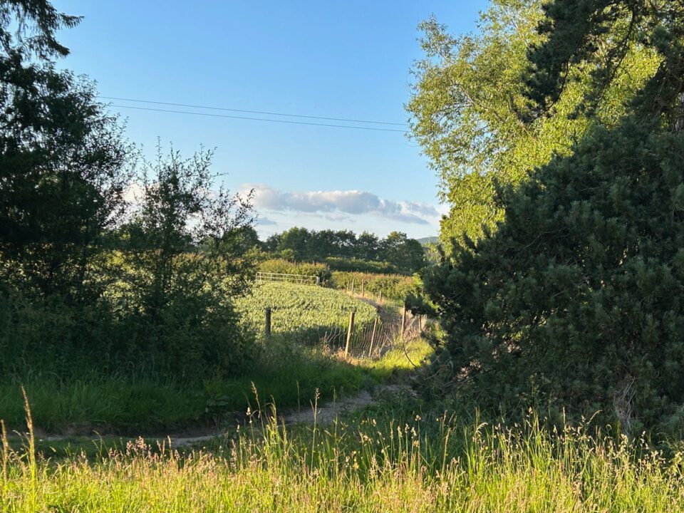 Walking holidays in Herefordshire | Monnington House and Cottages