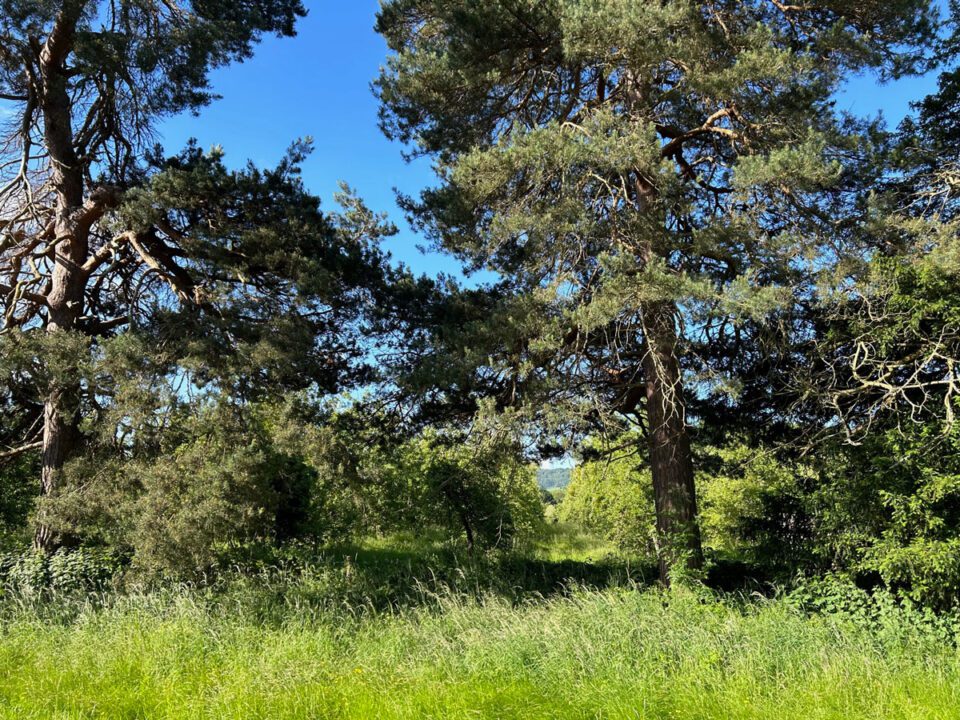 Walking holidays in Herefordshire | Monnington House and Cottages