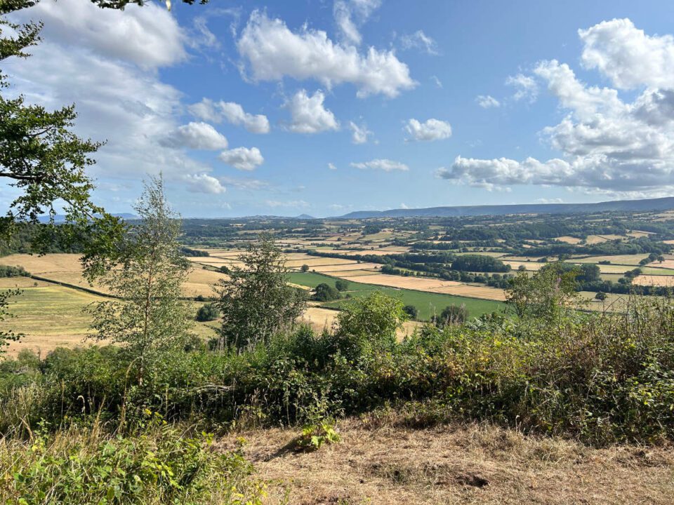 Gillians Wood, Moccas