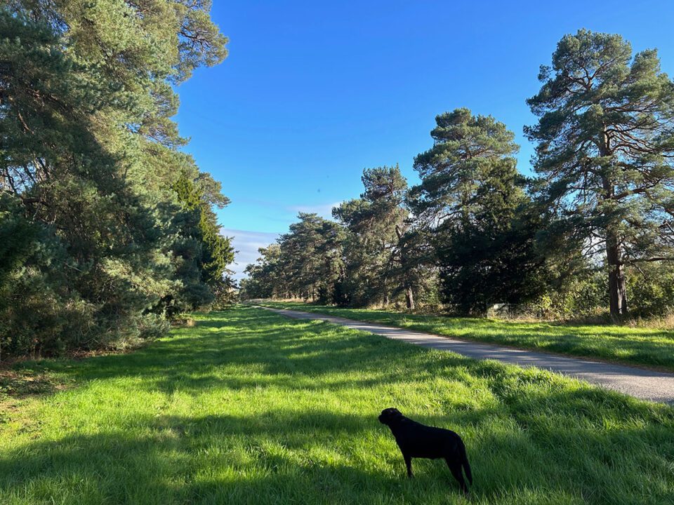 Monnington Walk - Monnington House: Large Holiday Homes Herefordshire - Dog Friendly, Sleeps 6-24