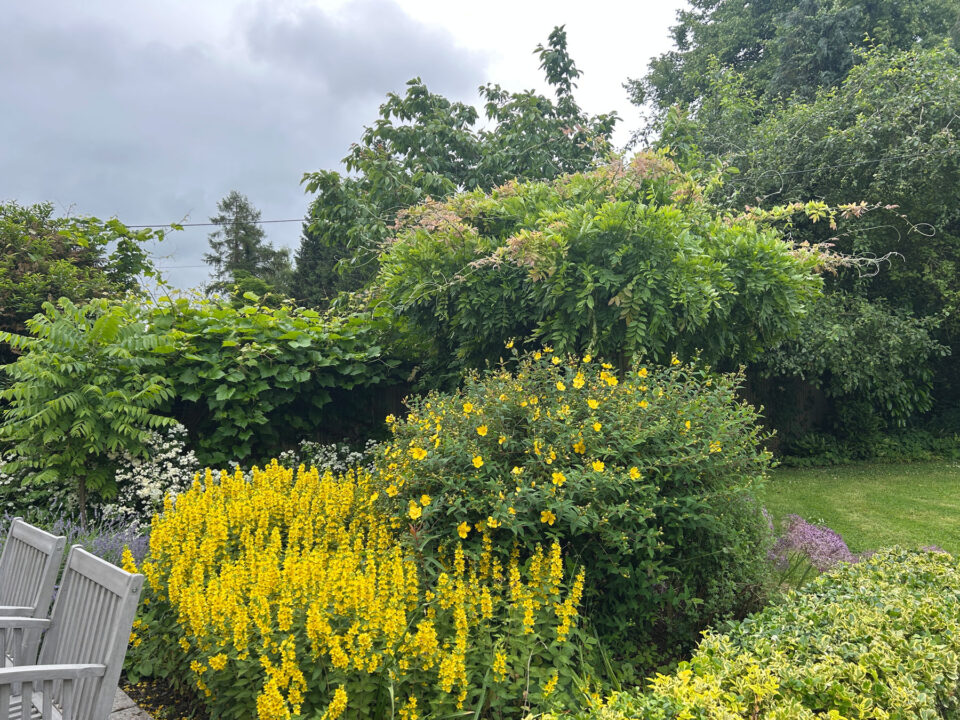 Garden at The Cider Mill - Airbnb Hay on Wye Herefordshire - Sleeps 2-6, Dog Friendly