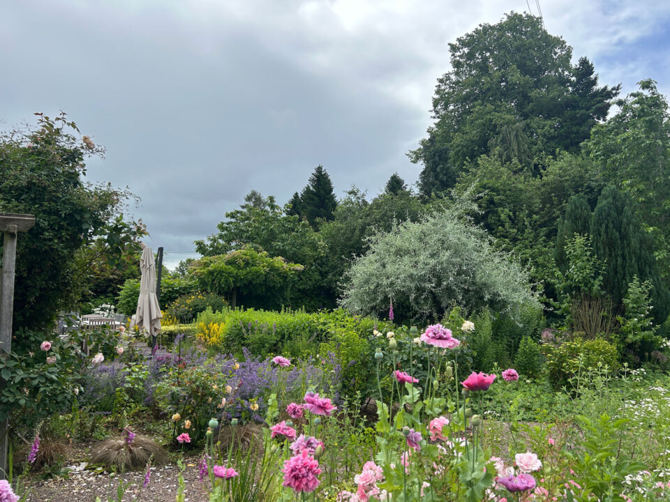 Garden at The Cider Mill - Airbnb Hay on Wye Herefordshire - Sleeps 2-6, Dog Friendly